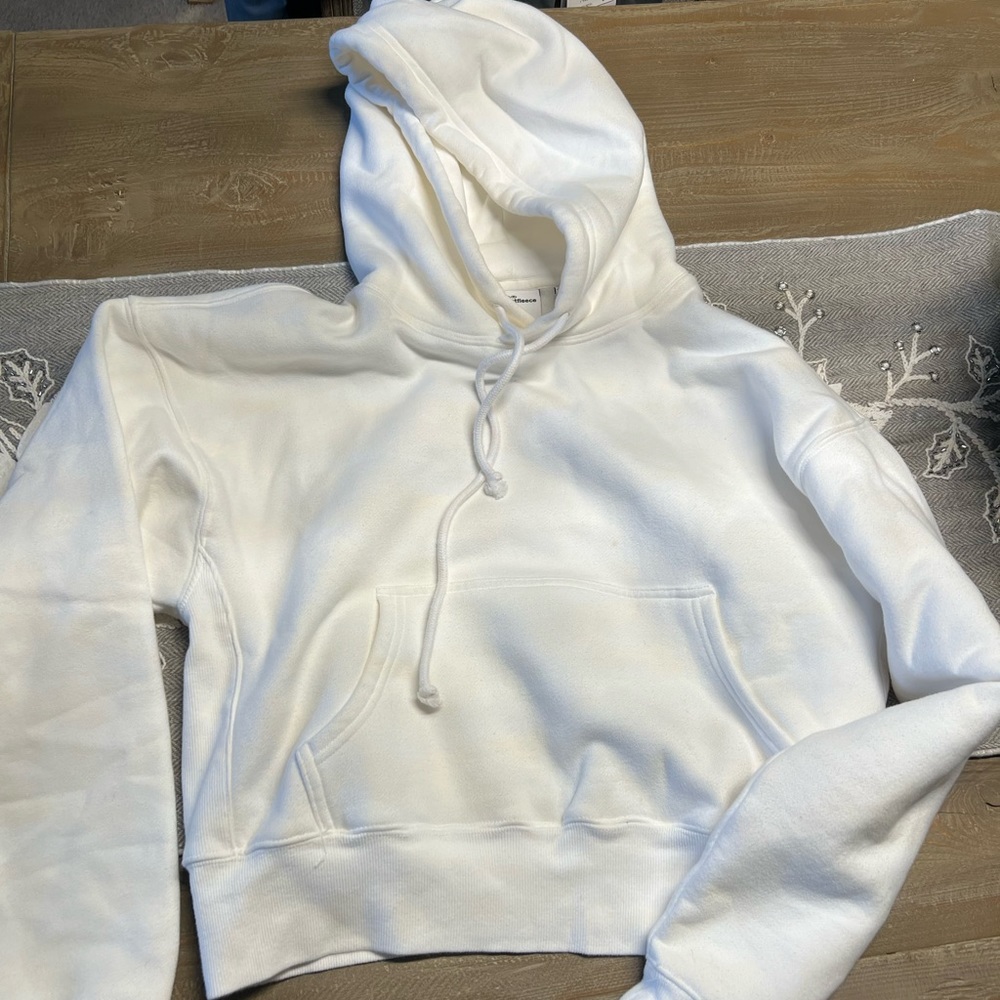 ARITZIA TNA SWEAT FLEECE COZY FLEECE BOYFRIEND HOODIE